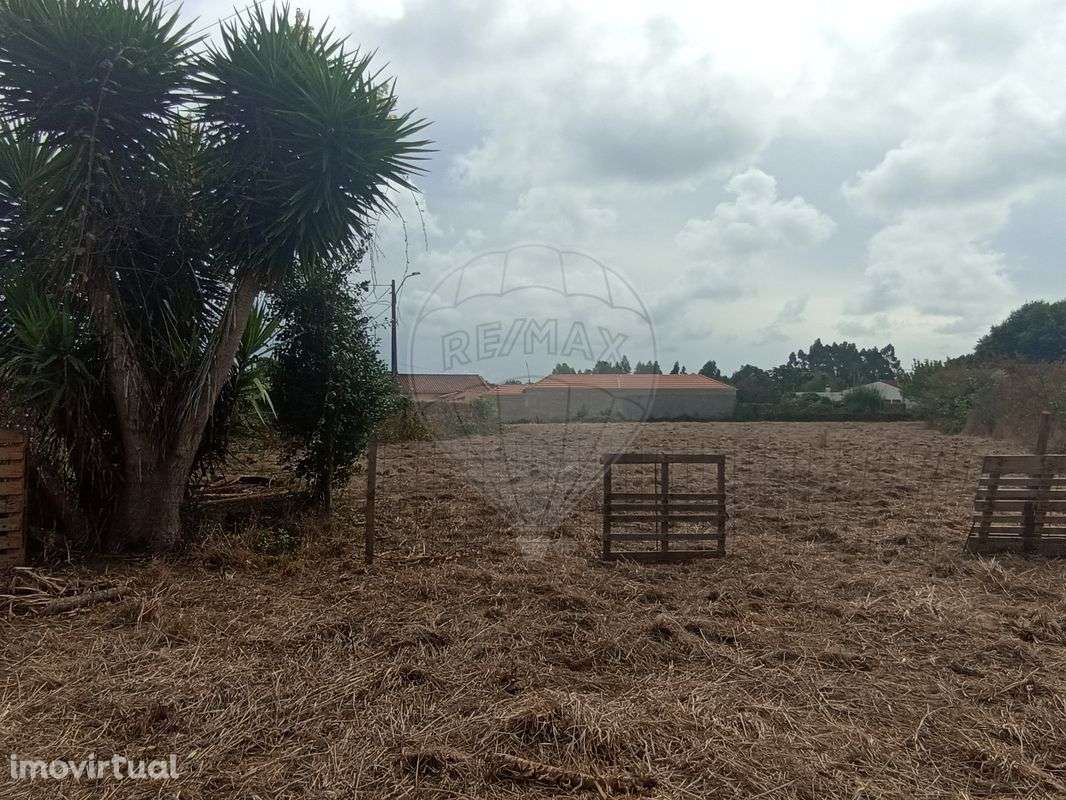 Terreno  para venda - Grande imagem: 2/3