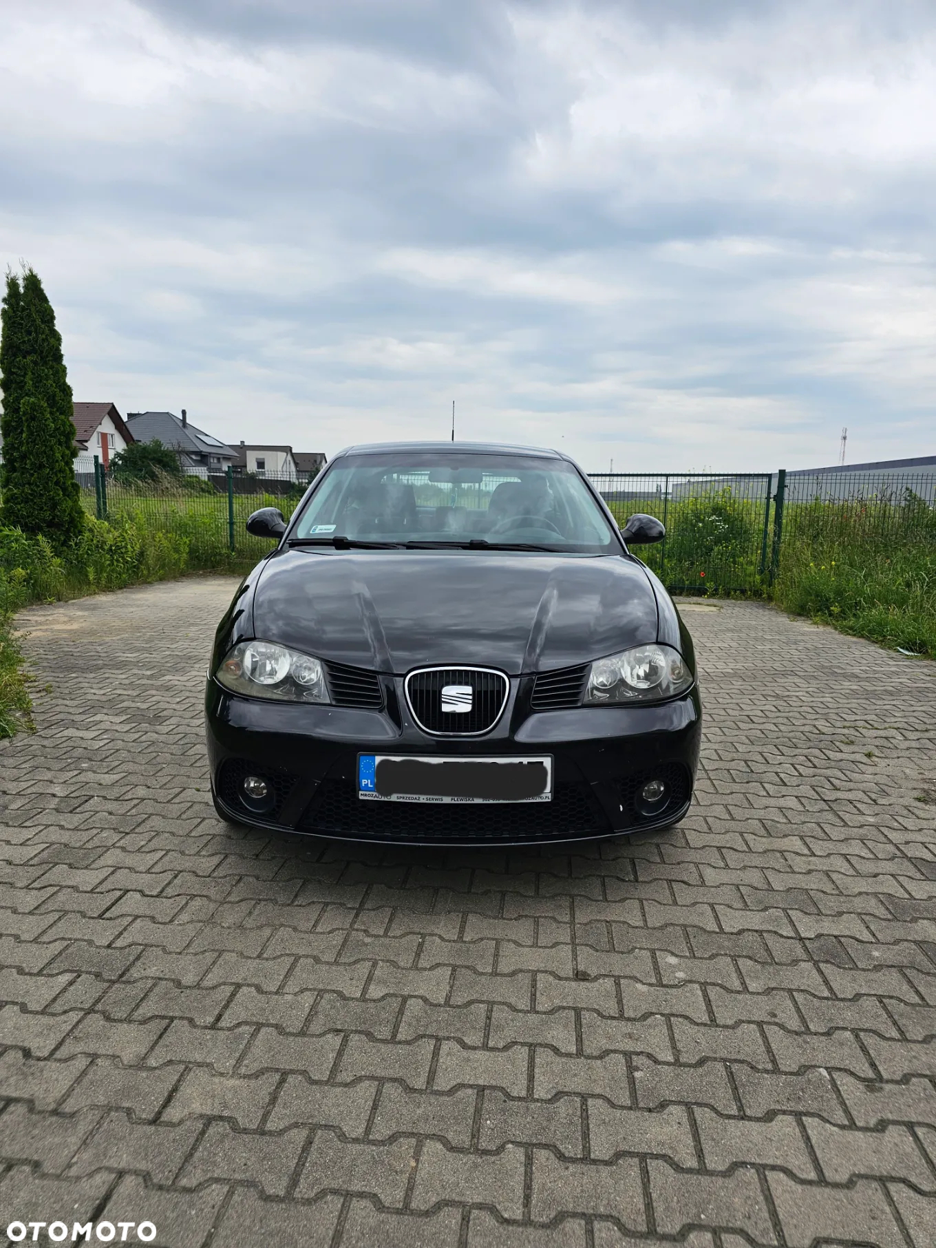 Seat Ibiza - 3