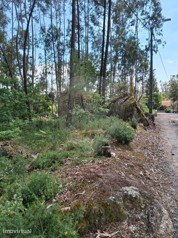 Terreno  para venda - Grande imagem: 2/3