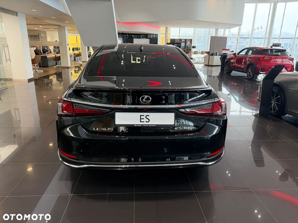 Lexus ES 300h Omotenashi - 6