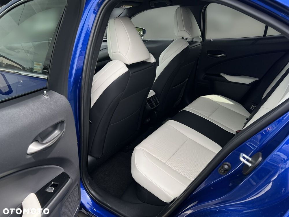 Lexus UX 300h F Sport - 19