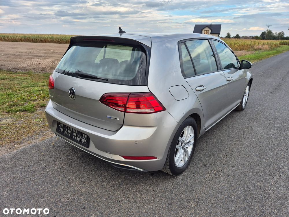 Volkswagen Golf 2019 photo 3