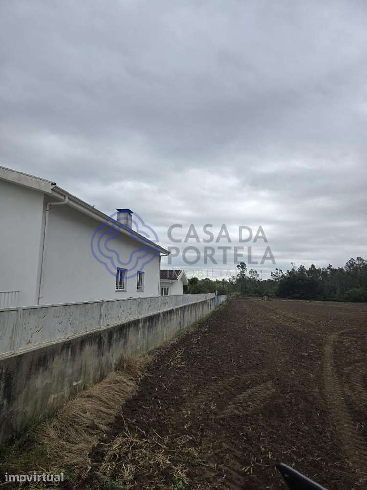 Moradia T3 térrea em Arada - Ovar - Grande imagem: 4/60
