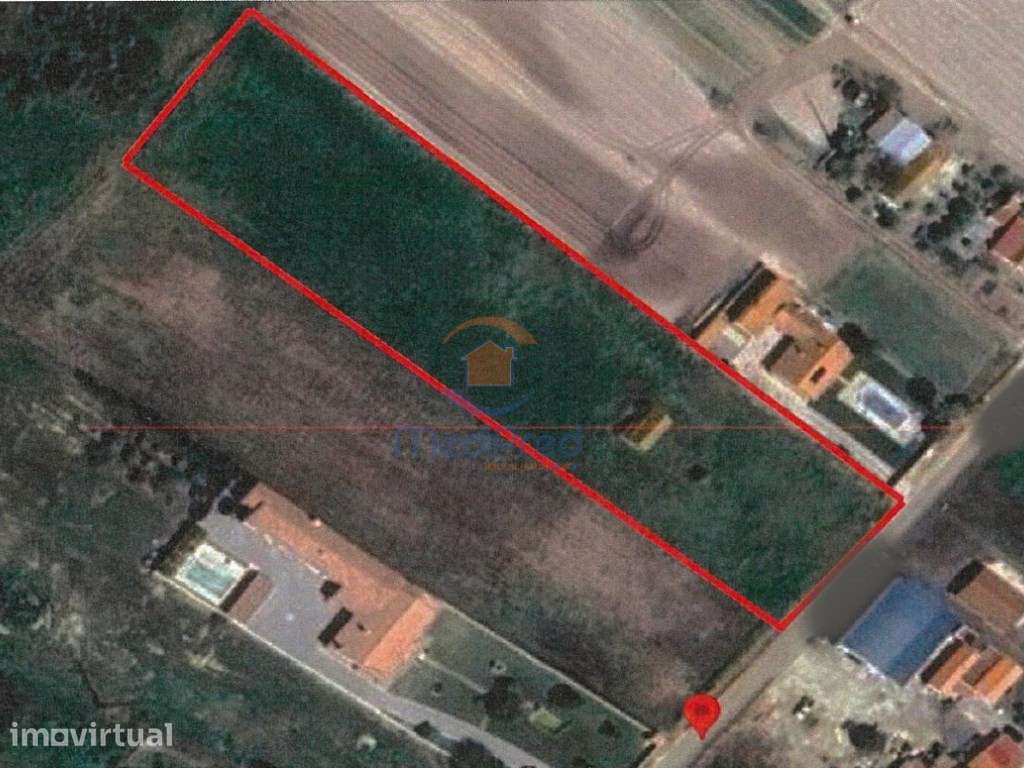 Lote com 7.000m2 em Foros de Salvaterra - Grande imagem: 4/4