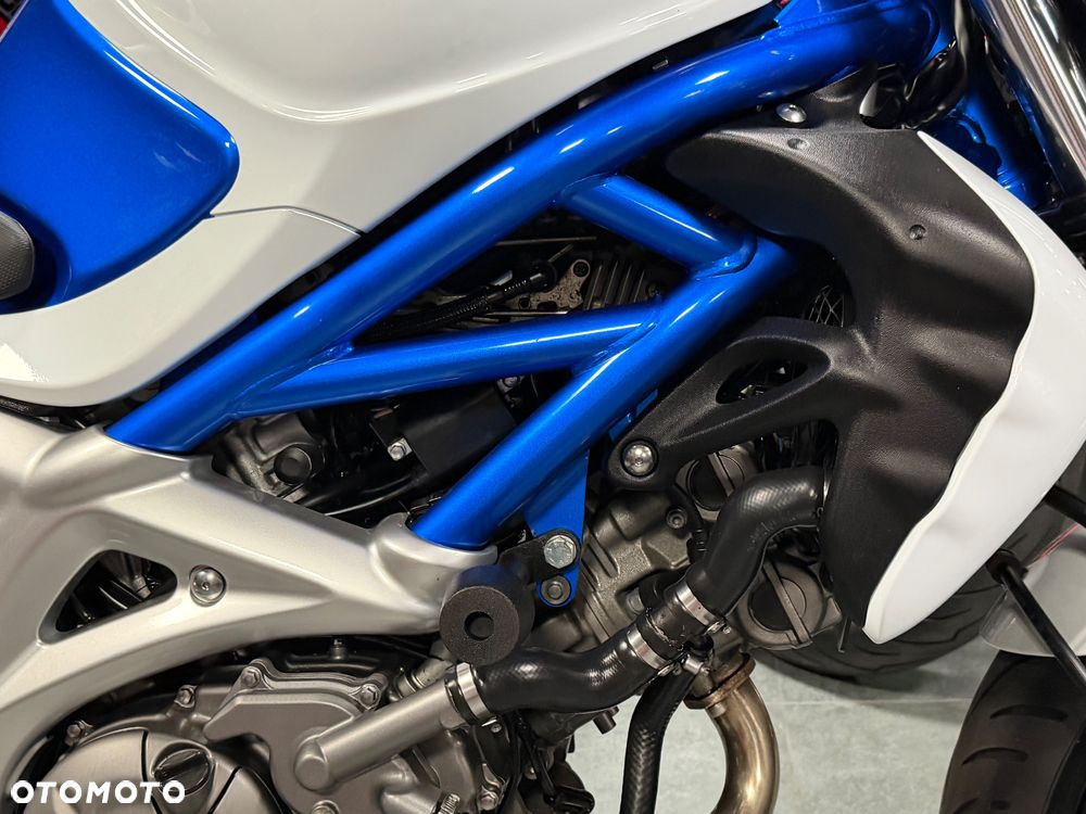 Suzuki Gladius - 19