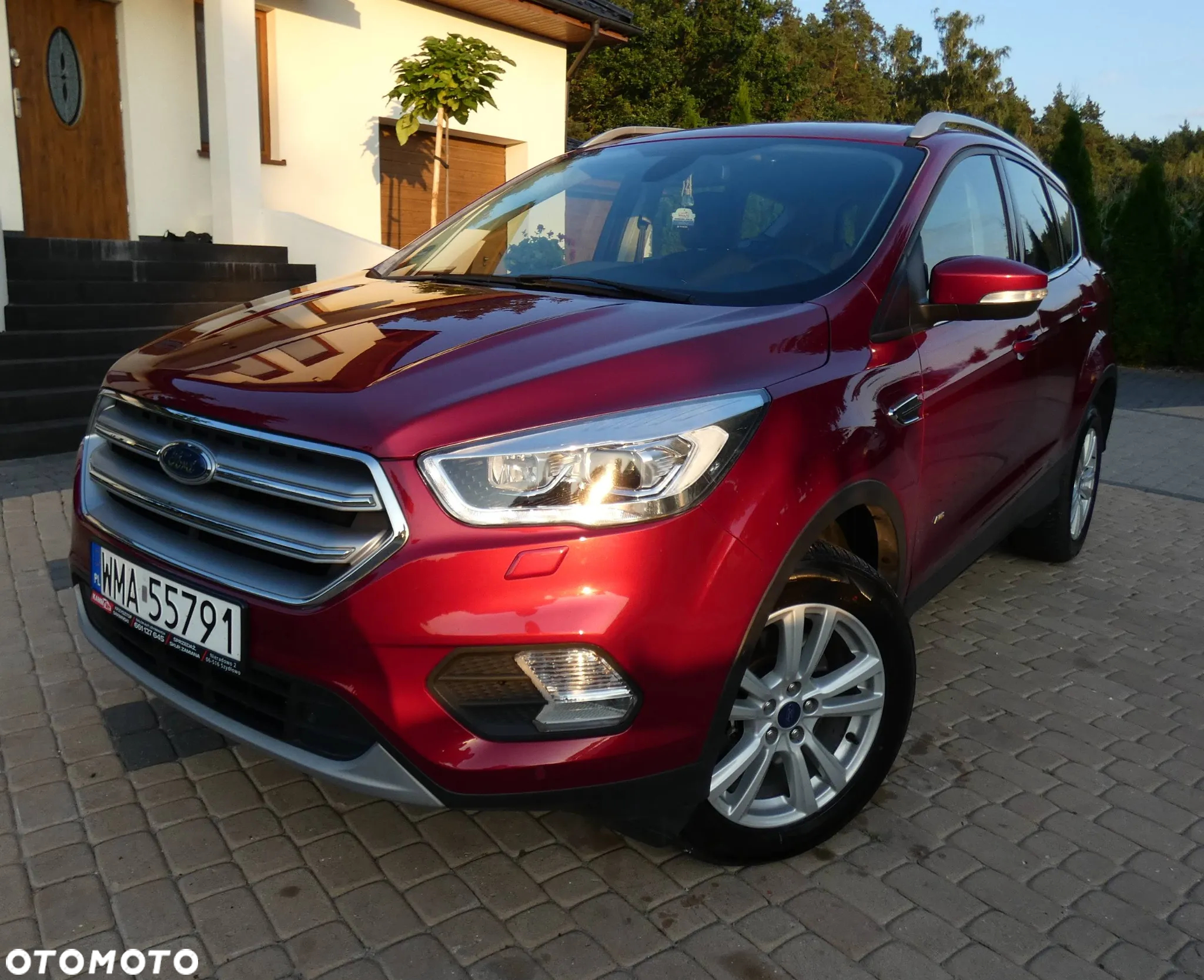 Ford Kuga 1.5 EcoBoost AWD Titanium ASS - 15