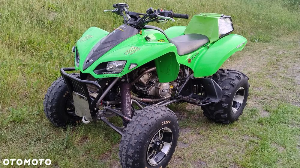 Kawasaki Brute Force - 14