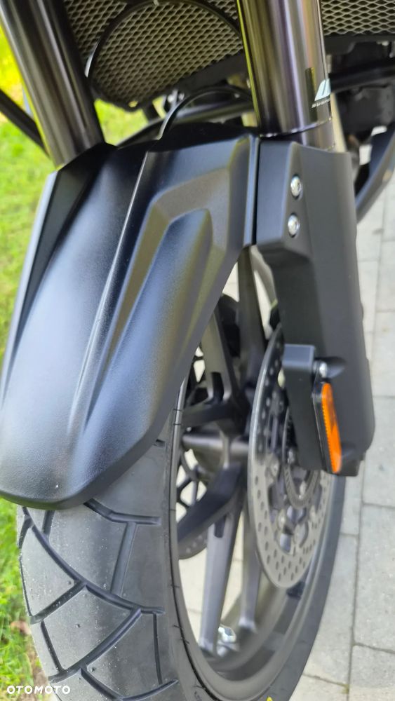 Triumph Tiger - 15