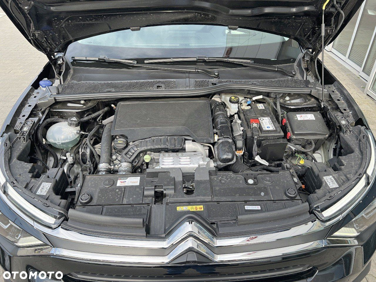 Citroën C4 1.2 PureTech Max S&S EAT8 - 12
