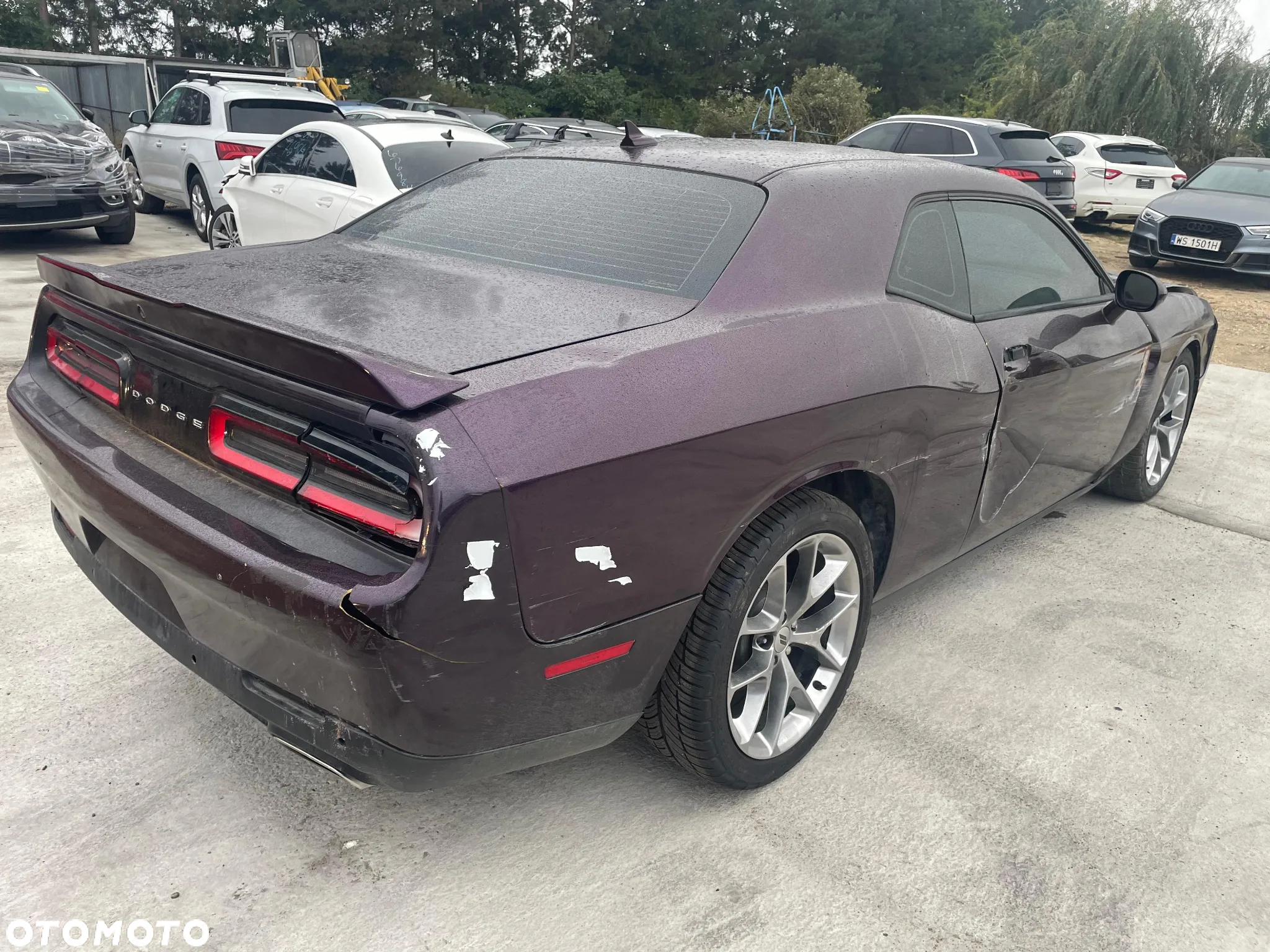 Dodge Challenger - 7