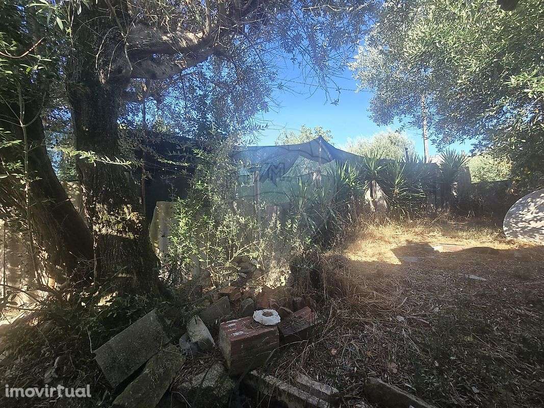 Terreno  para venda - Grande imagem: 5/7