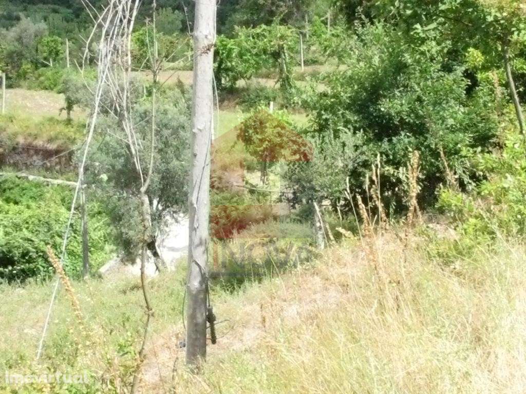 Terreno, Valdreu - Grande imagem: 2/4