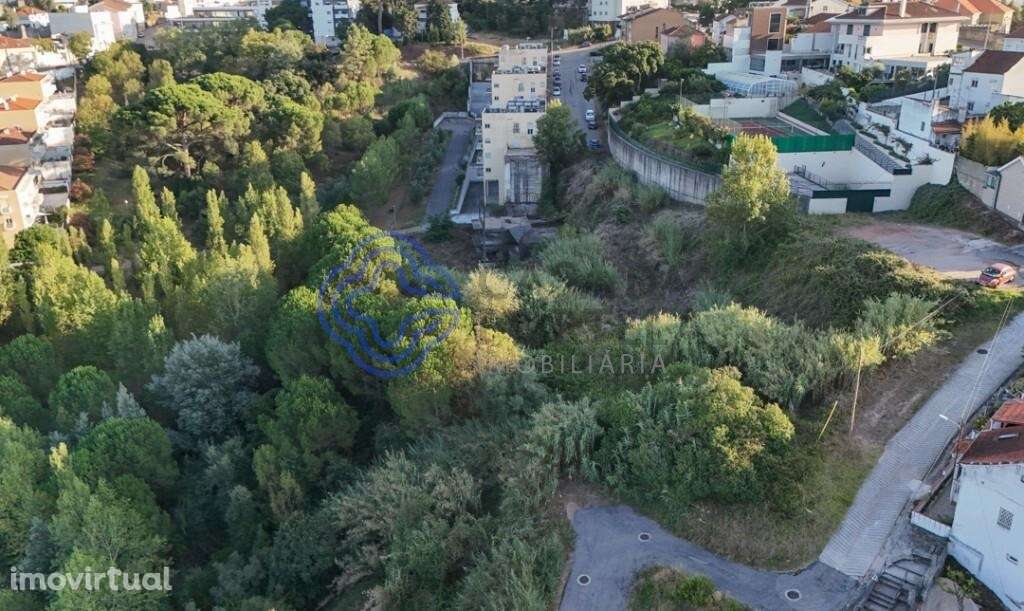 ### Terreno  em Santo António dos Olivais: Oportunidade Única de Inves - Grande imagem: 4/11