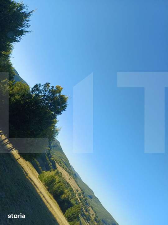 Teren extravilan in inima naturii - Imagine principală: 4/4