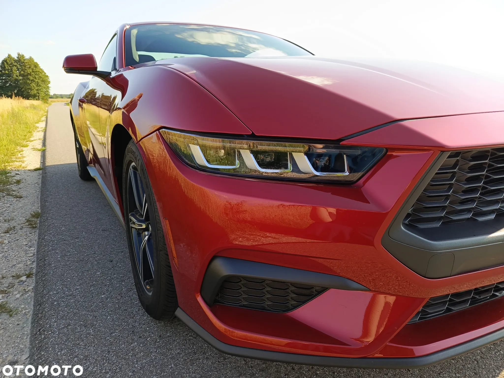Ford Mustang 2.3 EcoBoost - 2
