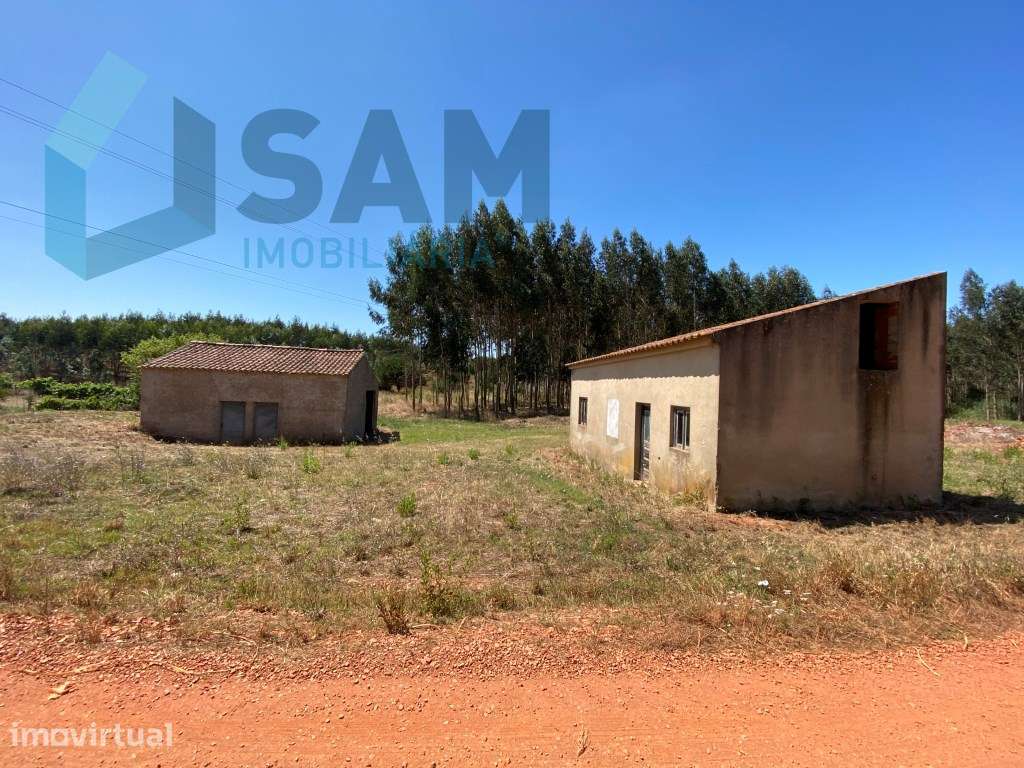 Refúgio no Campo: Casa Antiga com Terreno Plano e Eucaliptos - Grande imagem: 2/8