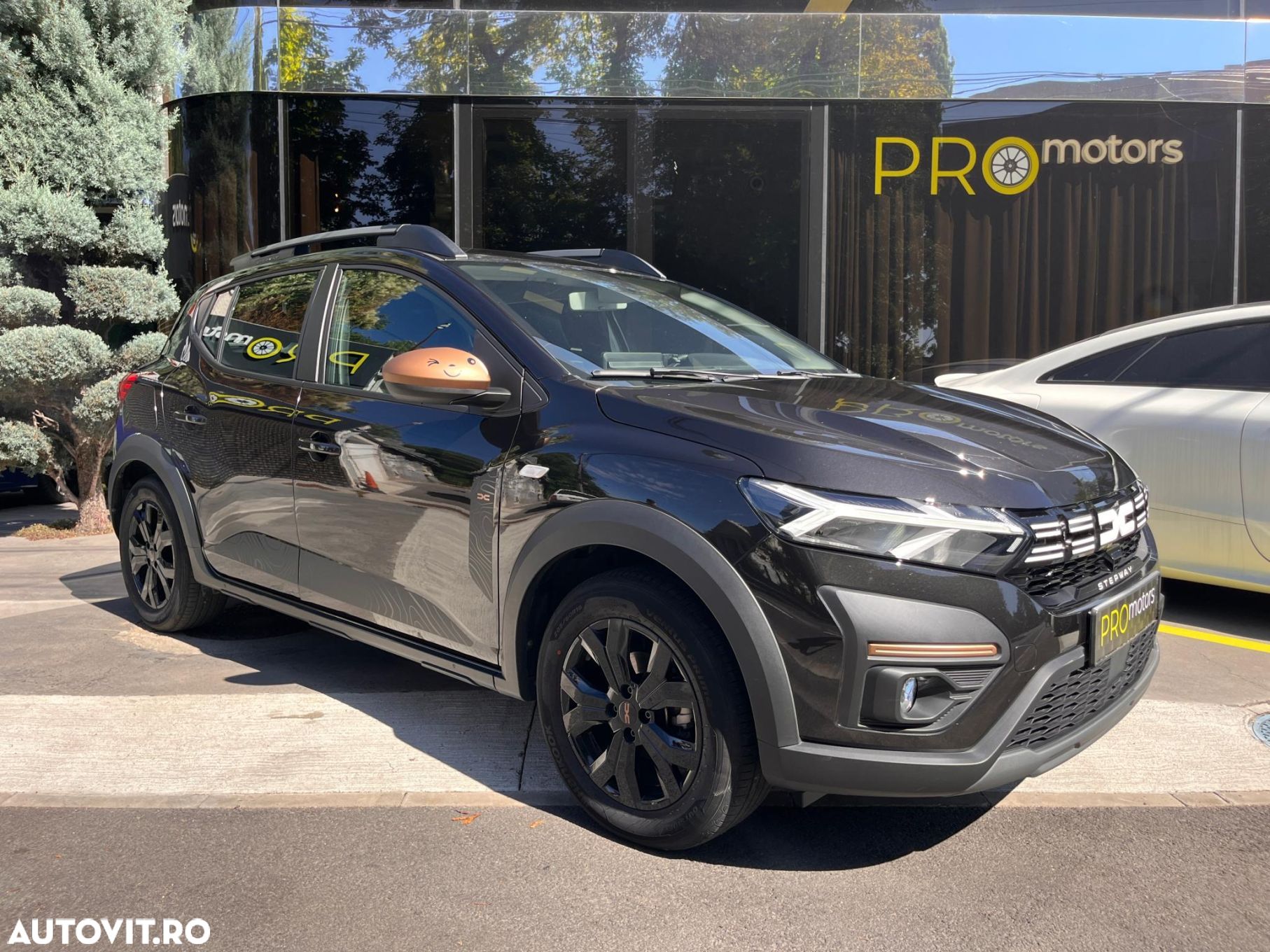 Dacia Sandero Stepway - 1