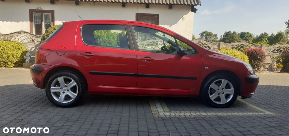 Peugeot 307 135 Tendance - 9