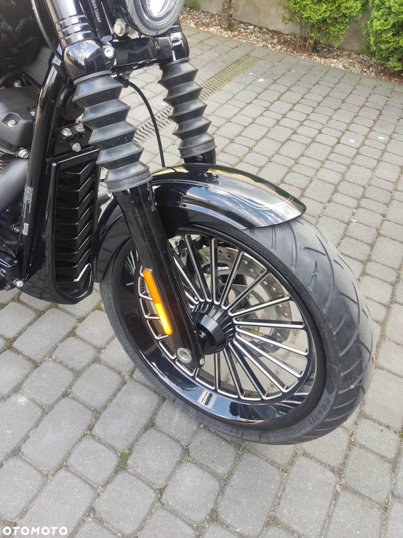 Harley-Davidson Softail Street Bob - 5