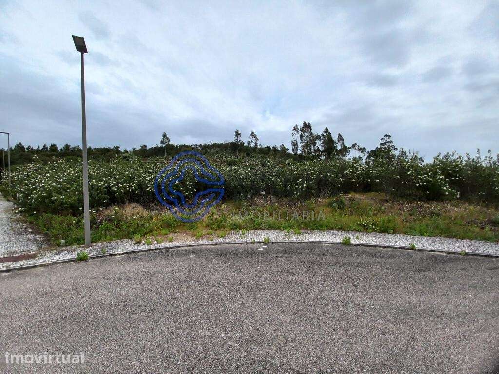 Lote de terreno para construção próximo de Constância no Centro de Por - Grande imagem: 3/11