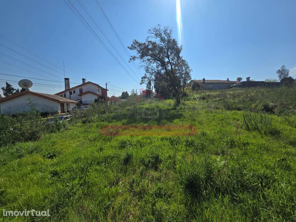 Lote terreno p/ construção - várias possibilidades - Águeda - Grande imagem: 5/8