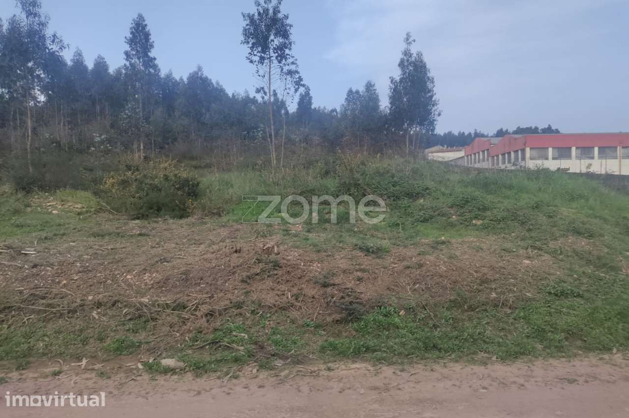 Terreno com 8000 m2 para construção - São Romão Coronado - Grande imagem: 5/9