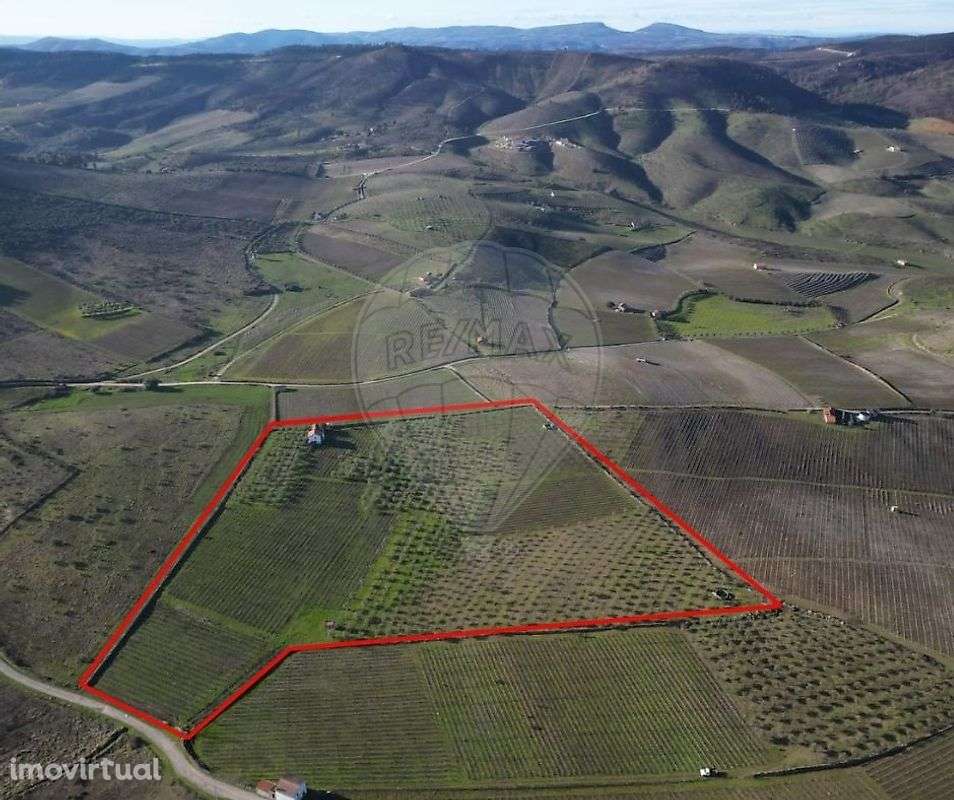 Terreno  para venda - Grande imagem: 4/12