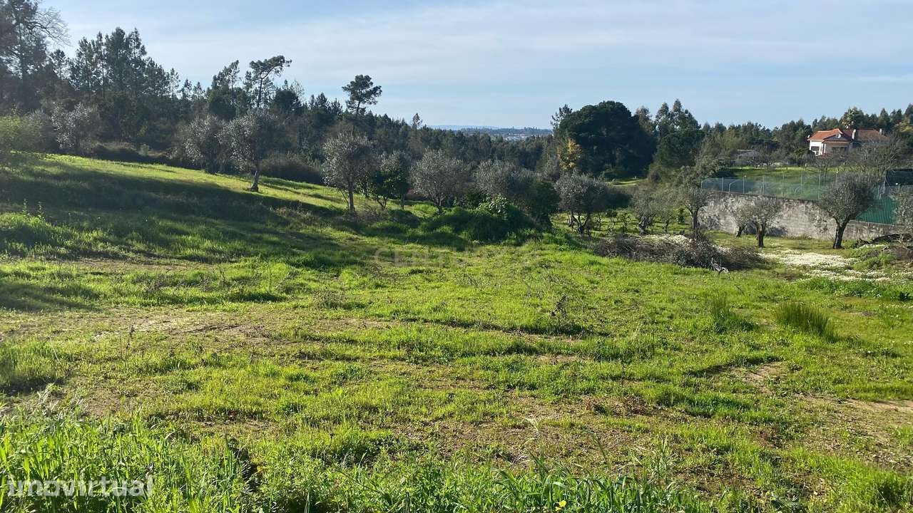 Terreno para construção – a 15 minutos de Tomar e do Entroncamento (Li - Grande imagem: 3/19