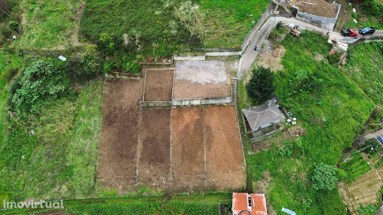 Terreno no Porto da Cruz - Grande imagem: 4/16