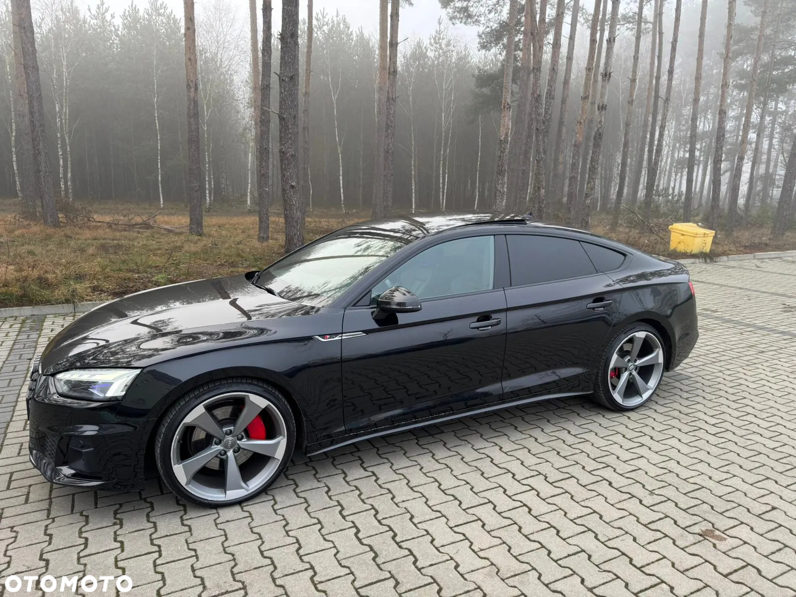 Audi A5 Sportback 3.0 TDI quattro S tronic sport - 3