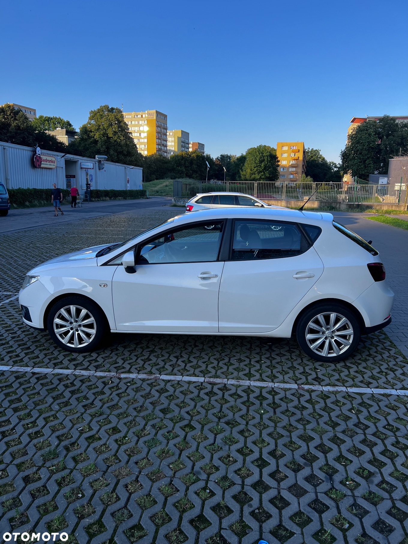 Seat Ibiza 1.6 TDI DPF Style - 9
