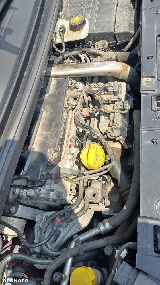 Renault Scenic - 18