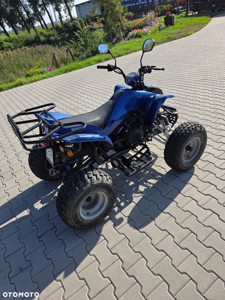 Shineray XY - 6