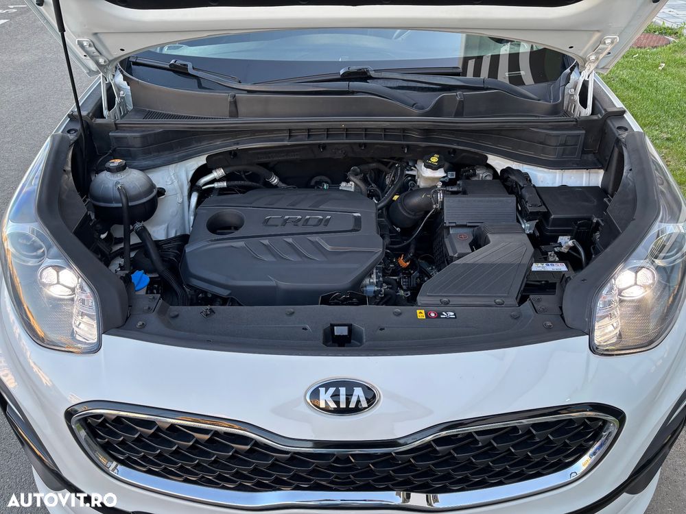 Kia Sportage 1.6 DSL MHEV 7DCT HP 4x2 Classic - 8