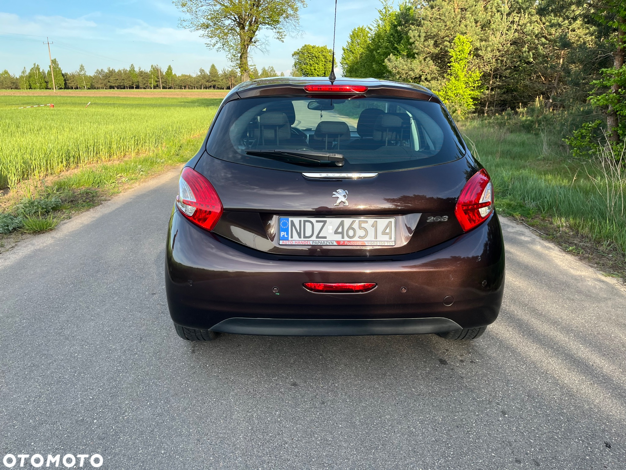 Peugeot 208 - 3