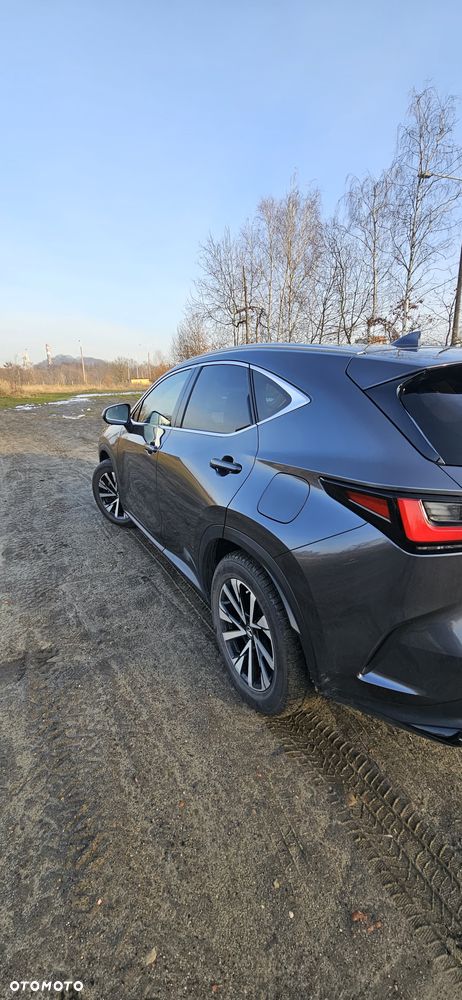Lexus NX 350h Prestige AWD - 3