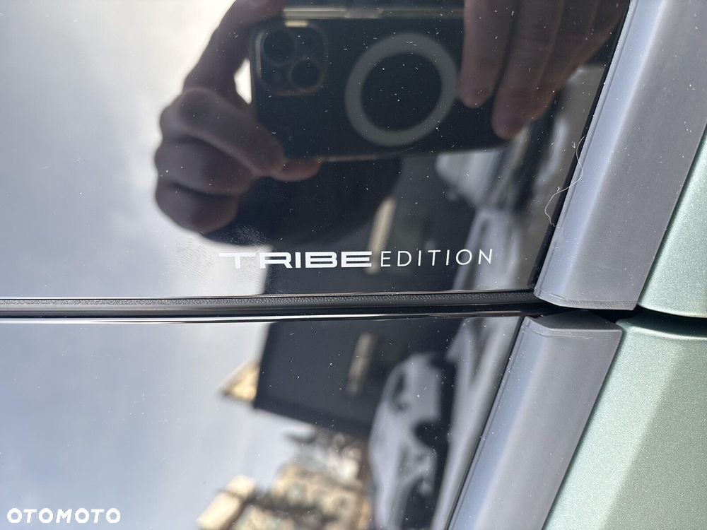 Cupra Terramar 2.0 TSI 4Drive Tribe Edition DSG - 12