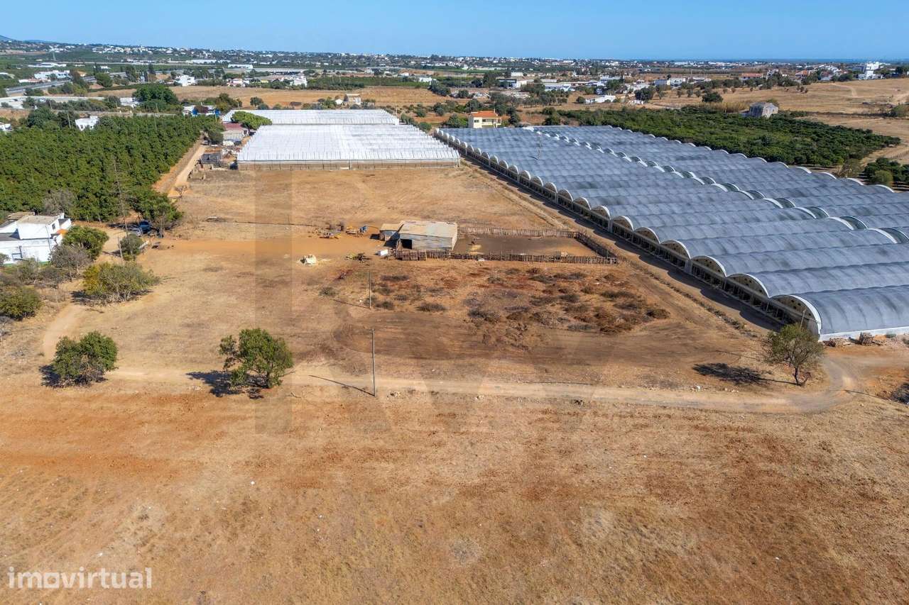 Quinta com Moradia de 217m2 e terreno de 17.040 m2  | Boleta, Faro - Grande imagem: 5/60
