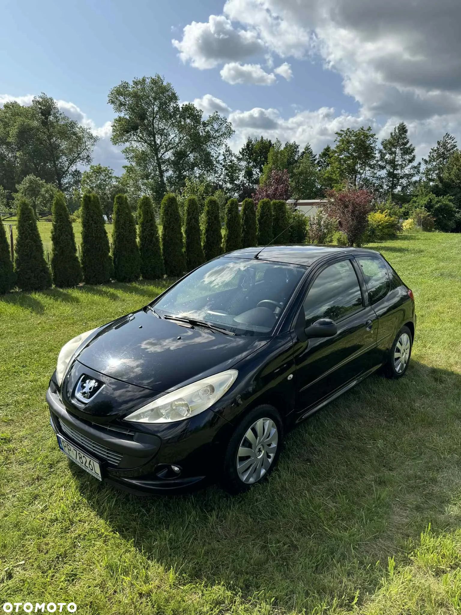 Peugeot 206 plus 206+ 75 - 1