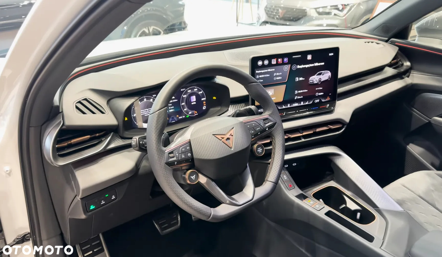 Cupra Terramar 2.0 TSI 4Drive DSG - 12