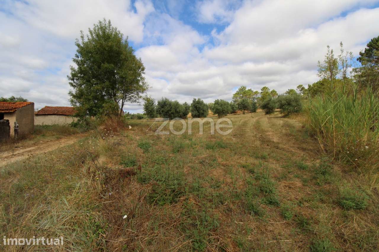 Terreno para Contrução | Eiras |Coimbra - Grande imagem: 5/20