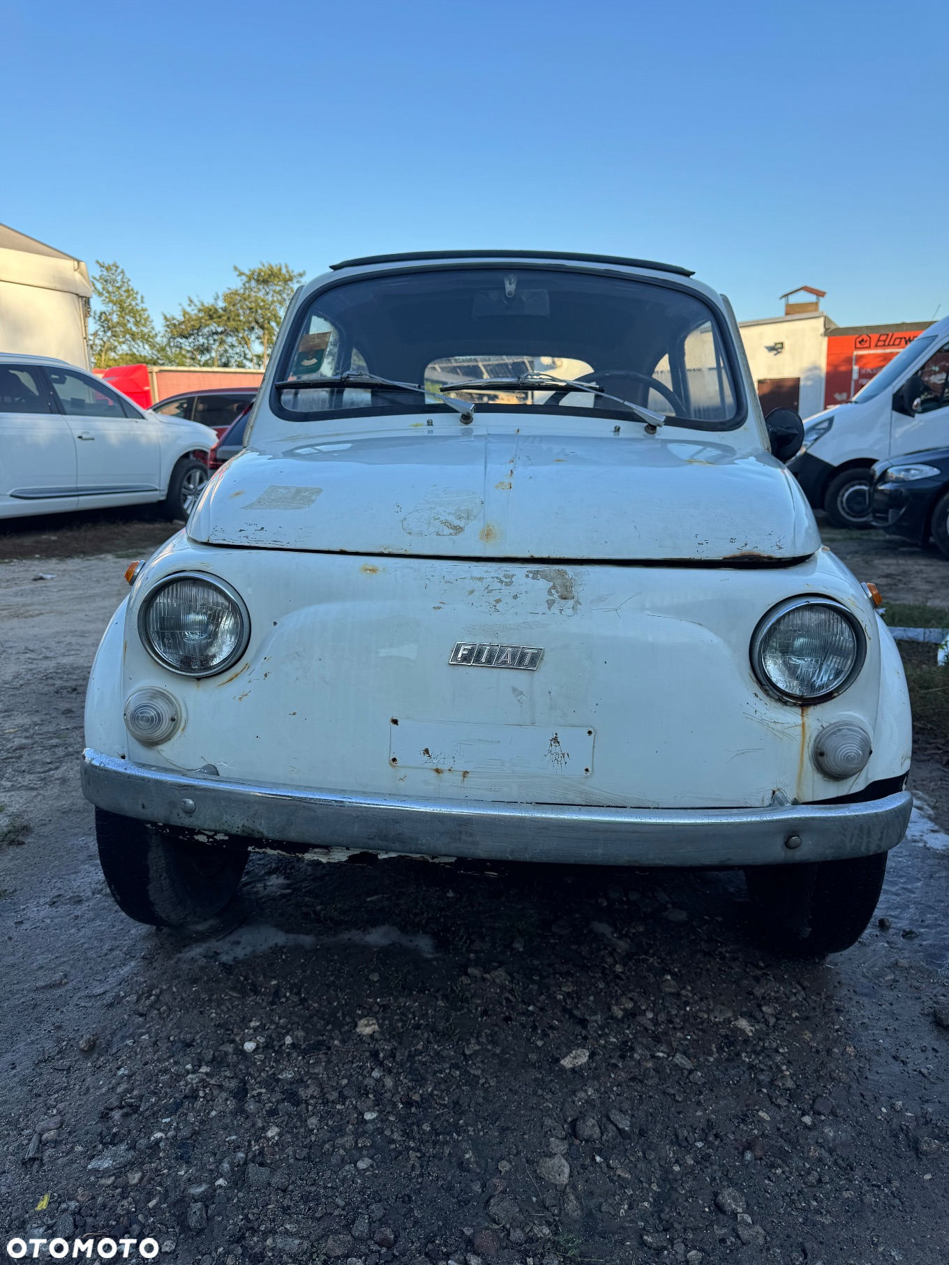 Fiat 500 - 3