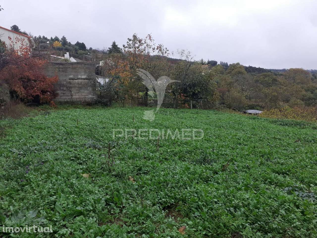 Terreno para Construção - Frechão - Grande imagem: 2/9