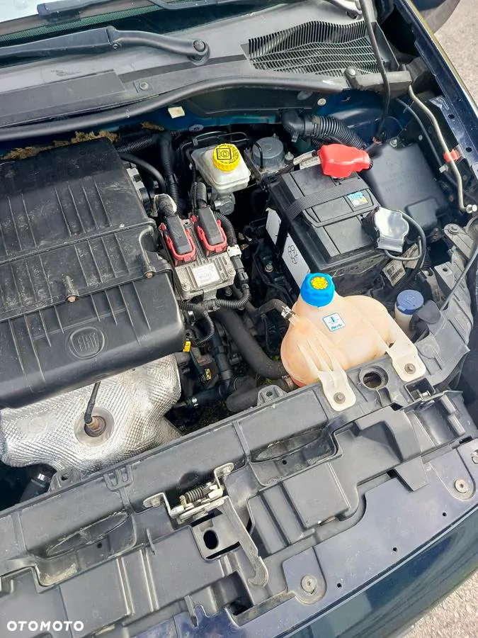 Fiat Punto - 20