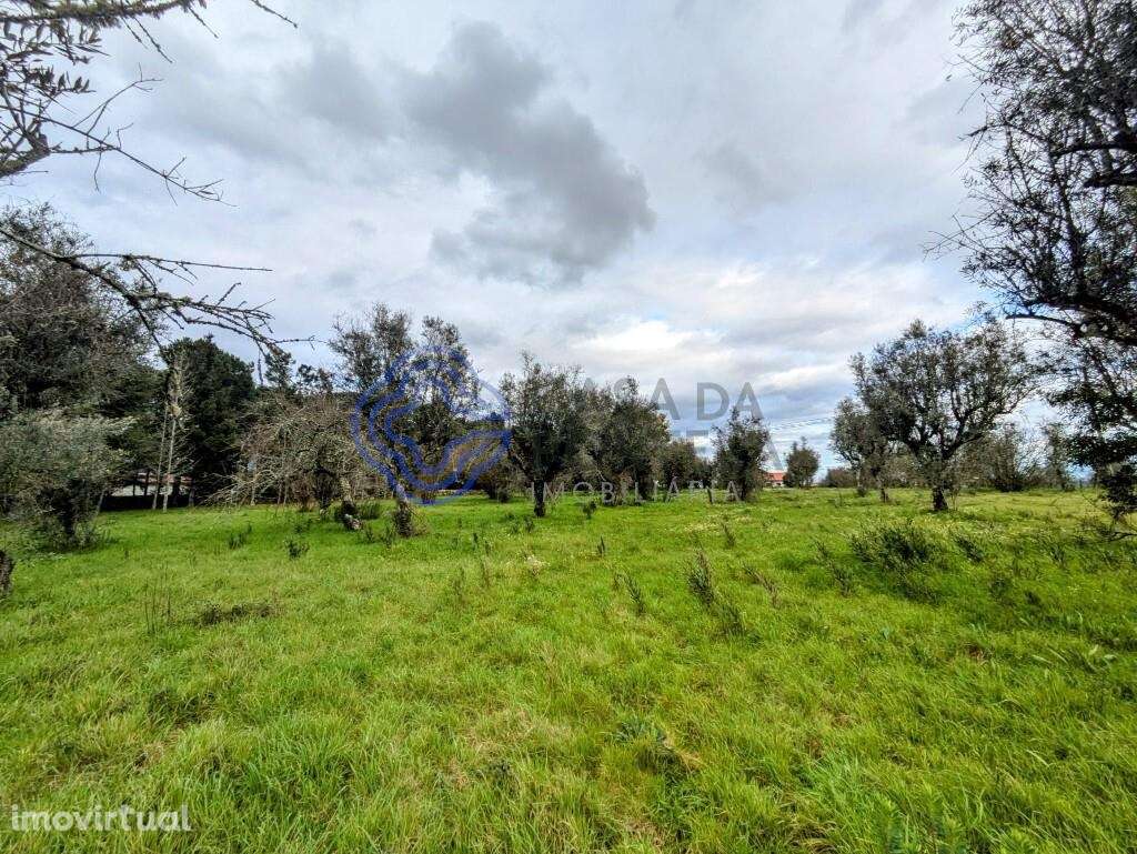 Terreno Urbano em Silgueiros - Grande imagem: 3/25