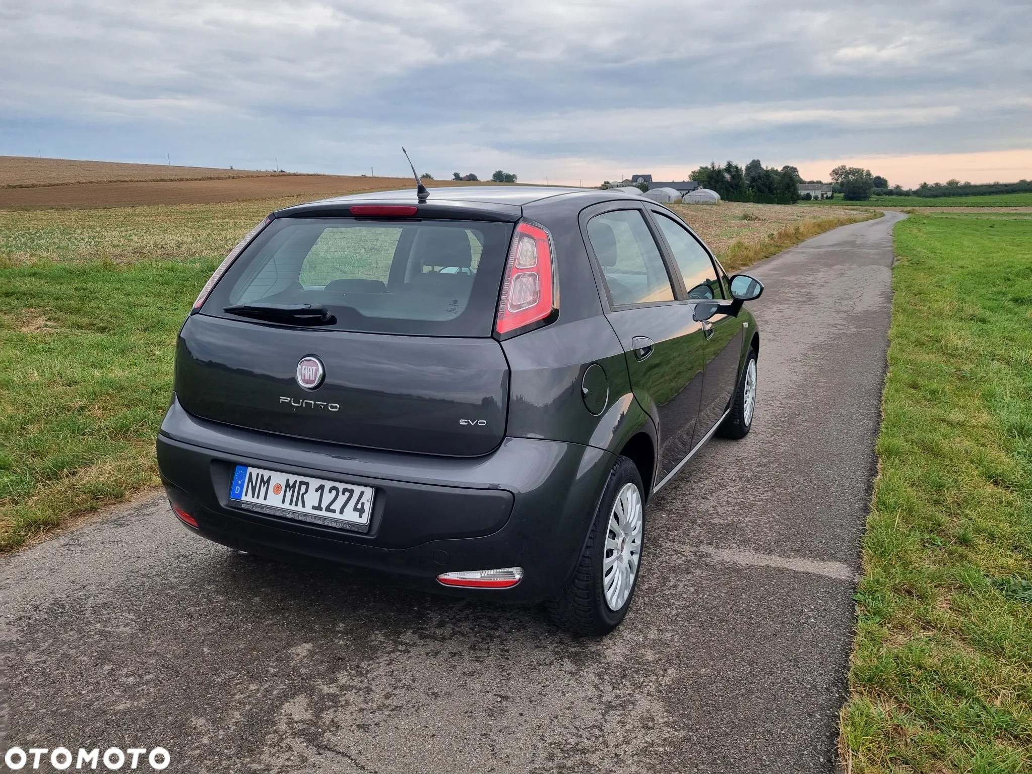 Fiat Punto Evo 1.4 8V Active - 6