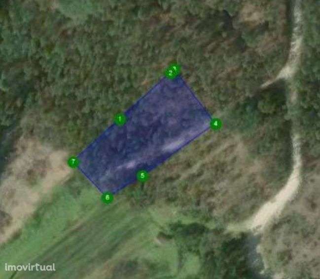 Terreno Rústico 5€ m2 - Grande imagem: 4/4