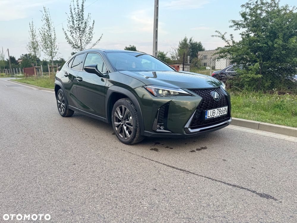 Lexus UX 300h F Sport AWD - 4