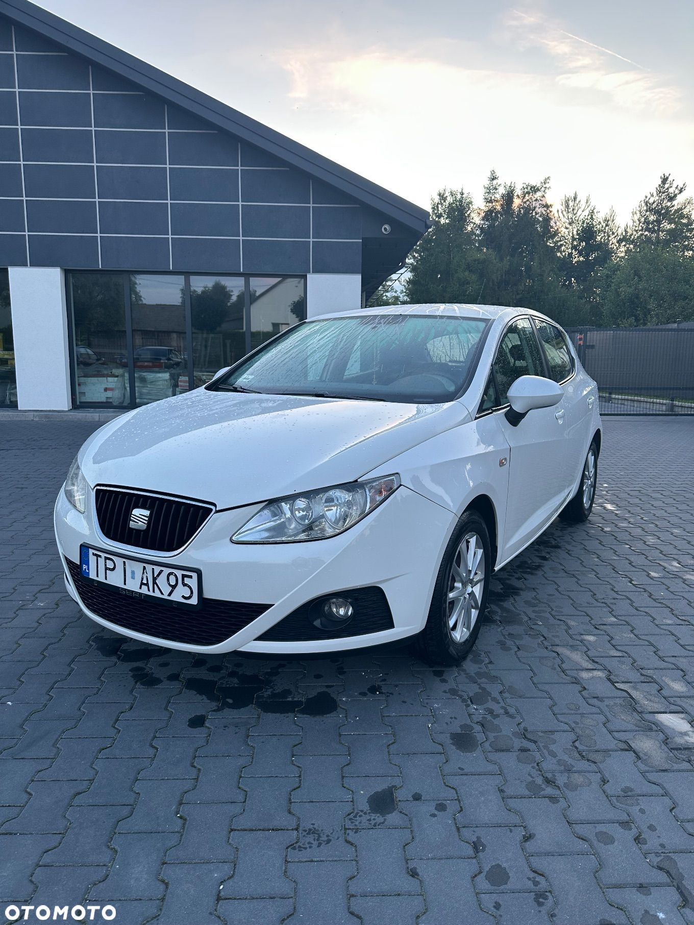 Seat Ibiza - 1