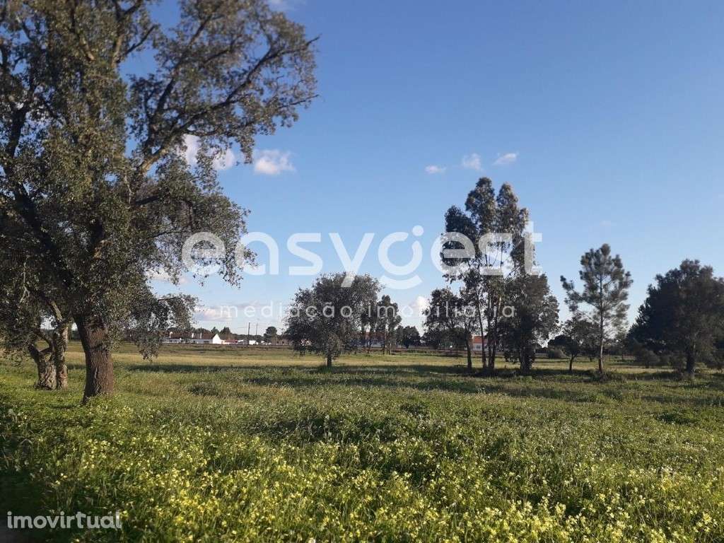 Terreno Misto com viabilidade de construção em Craveira do Norte - Grande imagem: 3/22